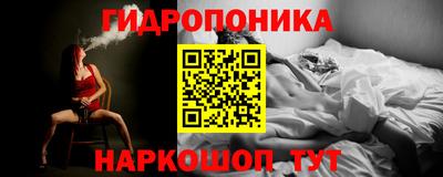 крисы Сланцы