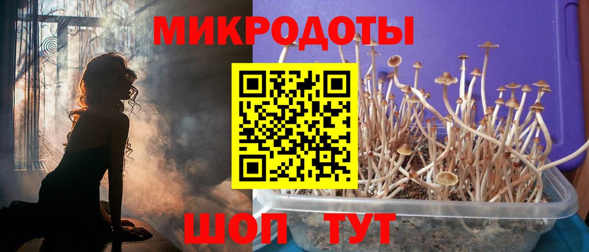 Псилоцибиновые грибы Cubensis Новошахтинск