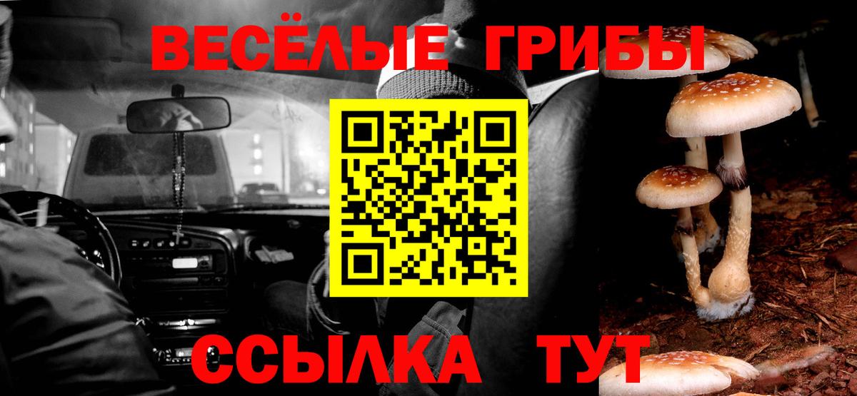 Псилоцибиновые грибы мухоморы  Псилоцибиновые грибы ЛСД  Вход с VPN  Новошахтинск 
