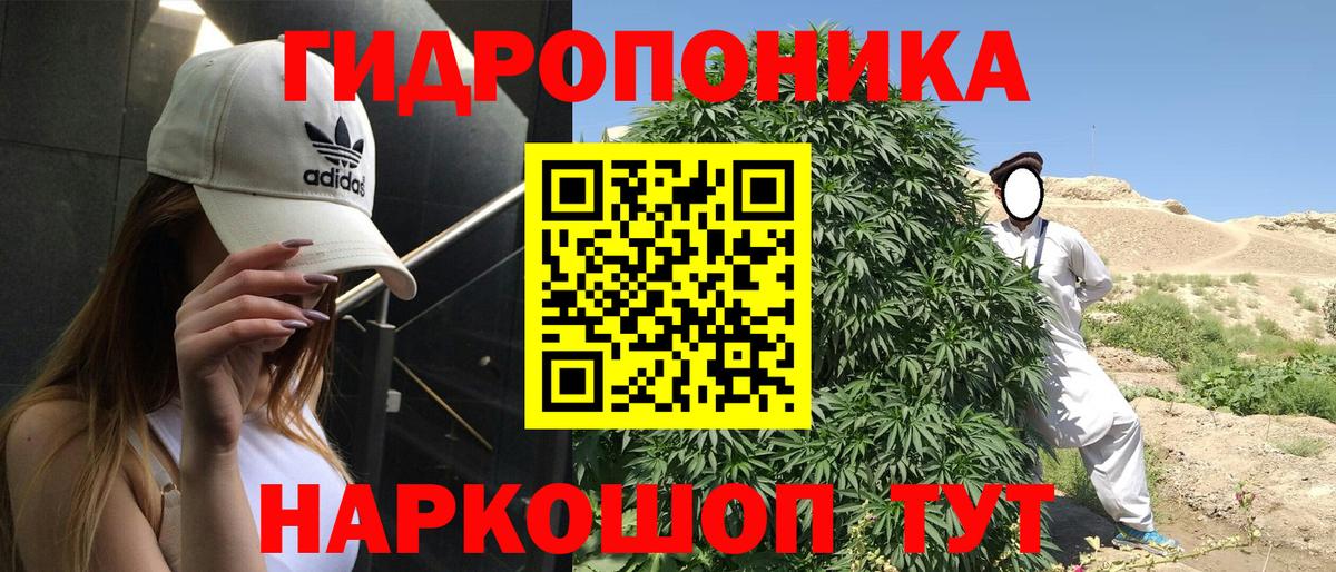 Новошахтинск  Бошки марихуана Ganja  Вход с VPN  Каннабис план 